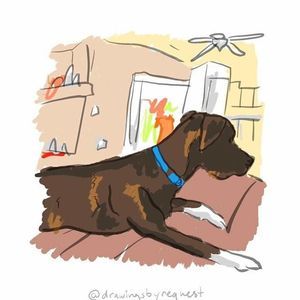 Meet your Posher, Bryce